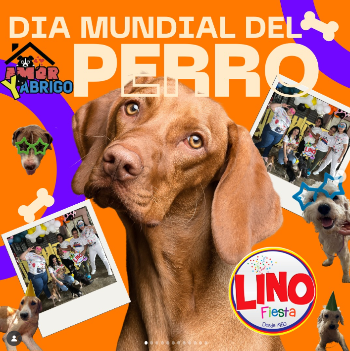 Dia mundial del perro